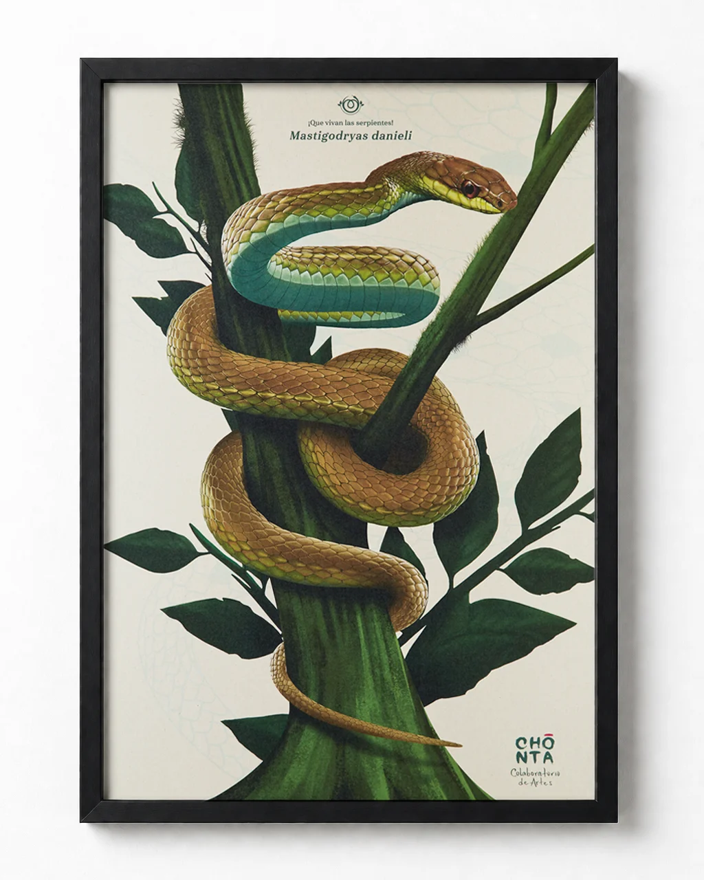 Afiche ilustrado Cazadora, Mastigodryas danieli, serpiente endémica colombiana